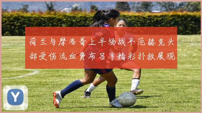 荷兰与摩洛哥上半场战平范赫克头部受伤流血费布吕亨精彩扑救展现实力