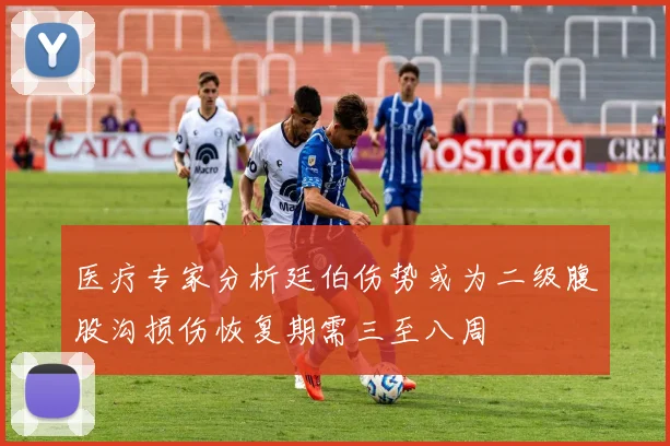 医疗专家分析廷伯伤势或为二级腹股沟损伤恢复期需三至八周